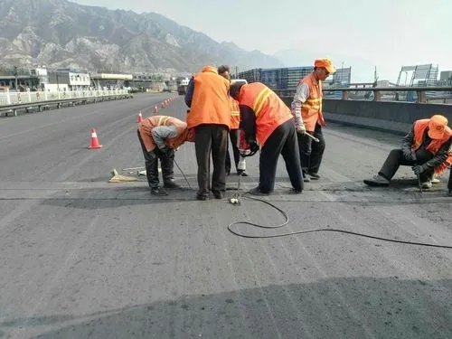 舞钢道路桥梁病害治理